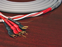 Canare 4S11 Star Quad Speaker Cable, #HDS5 termination example closeup