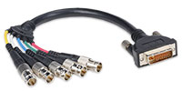 Liberty AV Premium Molded DVI Analog to 5 BNC female Adapter Cable, E-DVI/A-5BNCF
